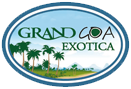 Grand Goa Exotica