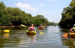 kayaking Rental